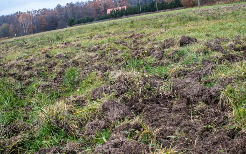 Budowa na działce rolnej. Jakie warunki trzeba spełnić?