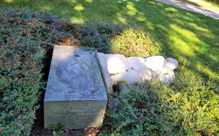 Od lipca, kiedy niezidentyfikowany sprawca lub sprawcy ją wywrócili, rzeźba leżała w okalających krz