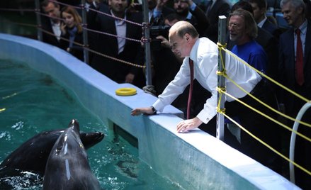 Władimir Putin i delfiny - jeszcze w cywilu
