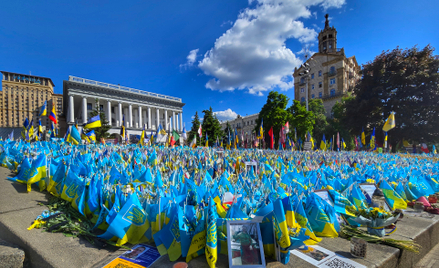 Flagi upamietniające obrońców Ukrainy poległych w walce z Rosją, Majdan Niepodległości, Kijów, Ukrai