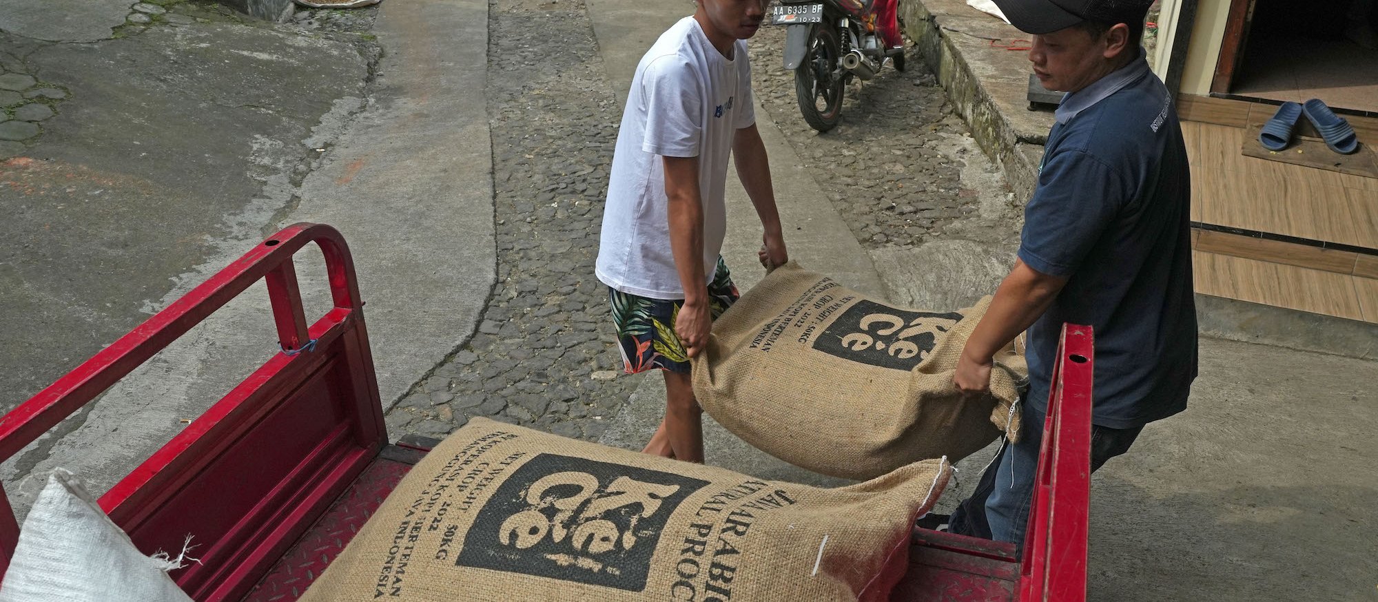 Zmiany klimatu uderzają w produkcję kawy. Raport pokazuje skalę problemu