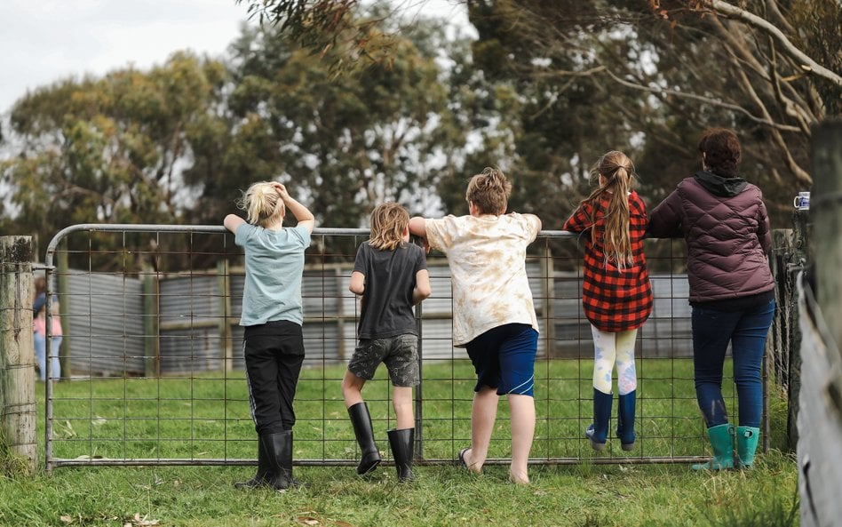 Mama 4+: 1978,49 zł co miesiąc z ZUS bez stażu pracy. Jest ważny warunek