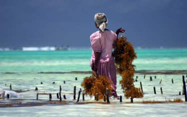 Zanzibar stawia na ropę i gaz.To będzie koniec turystycznego raju?