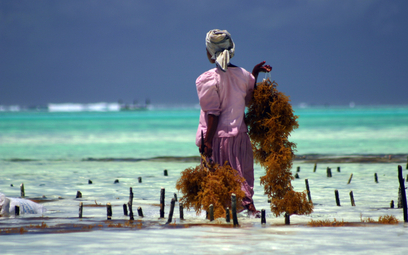 Zanzibar stawia na ropę i gaz.To będzie koniec turystycznego raju?