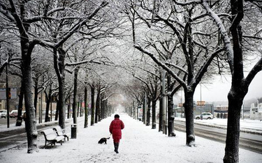 Fotoreporter uchwycił 29 listopada zimowy pejzaż Sztokholmu