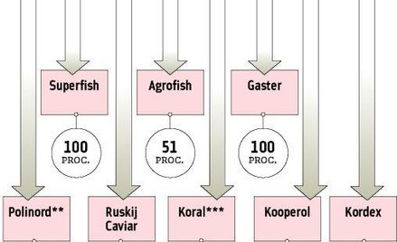 Graal rozważa zakup dwóch firm z branży