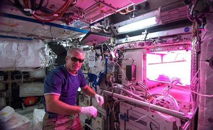 Steve Swanson uruchomił na orbicie „ogródek” z uprawą sałaty /NASA/Koichi Wakata
