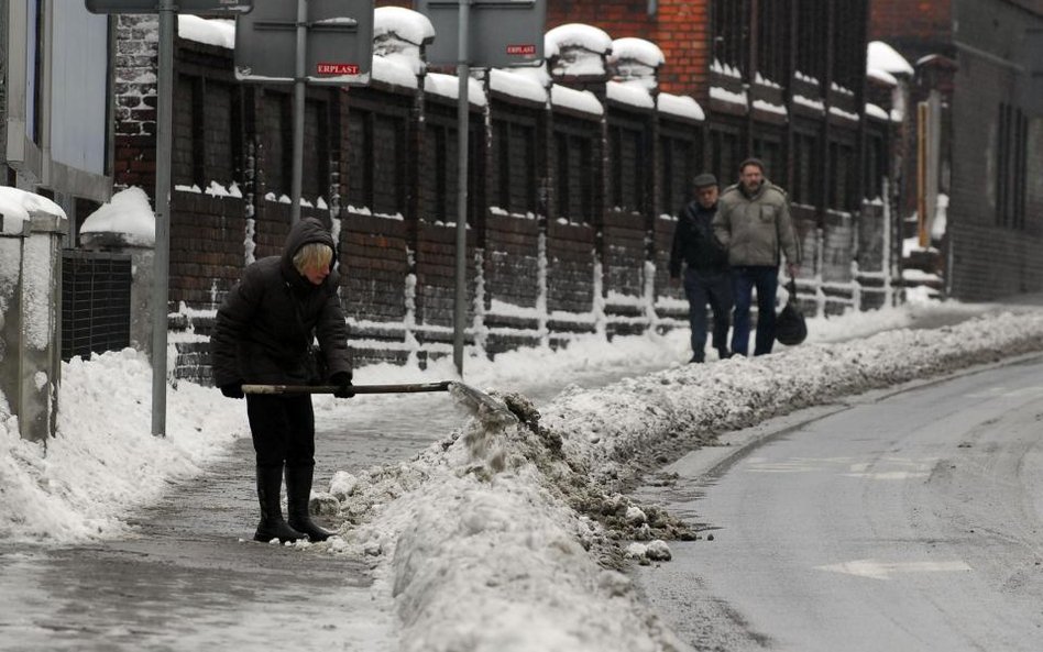Obowiązek usunięcia lodu nie może dotyczyć całej nieruchomości
