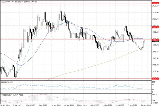 Notowania złota – dane dzienne