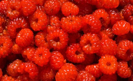 Malinówka nie tylko wspaniale pachnie i smakuje, ale ma także właściwości lecznicze.