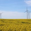 Rząd łagodzi przepisy dotyczące turbin wiatrowych