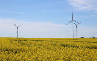 Rząd łagodzi przepisy dotyczące turbin wiatrowych