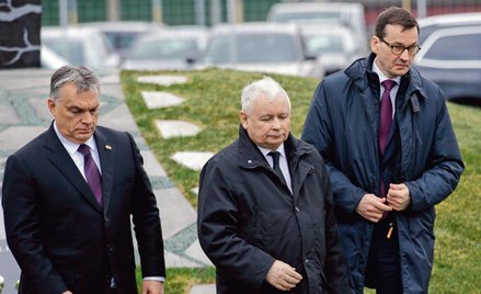 Jarosław Kaczyński sam obsadził się w roli ucznia węgierskiego premiera. Cynicznemu i myślącemu takt