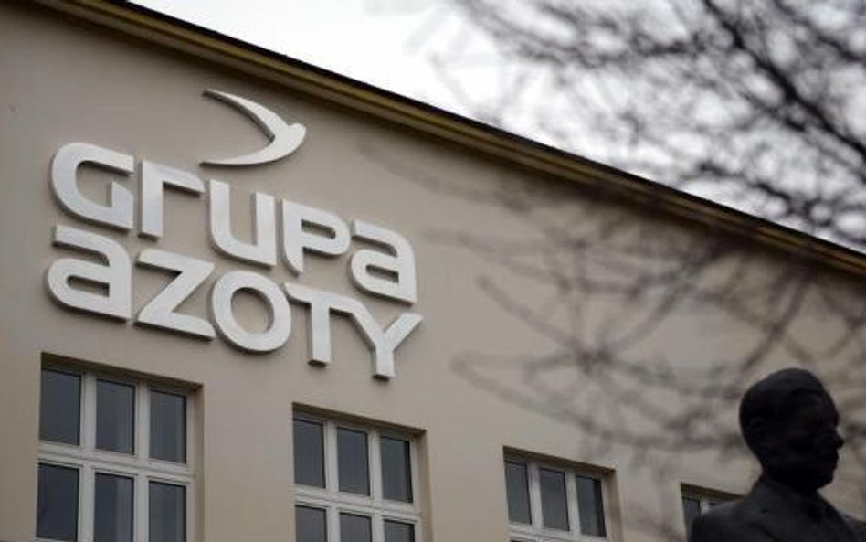 Gorsza kondycja Grupy Azoty
