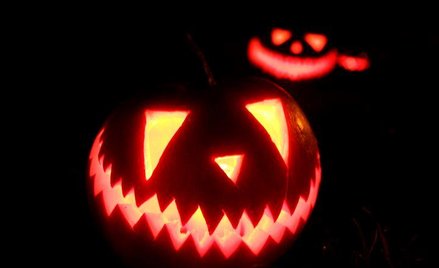 Wydrążone dynie - symbol Haloween