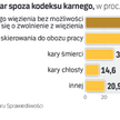 Poparcie dla kar spoza kodeksu karnego