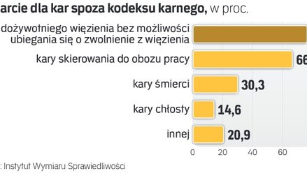 Poparcie dla kar spoza kodeksu karnego