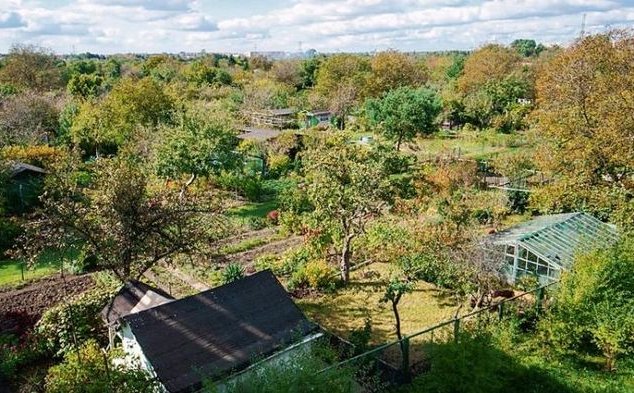 Ziemia na celowniku kupujących. Jakich działek szukają klienci?