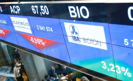 Rozprawa dotycząca SciGenu w sierpniu