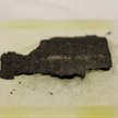 Fragment jednego ze zwęglonych zwojów z Herkulanum