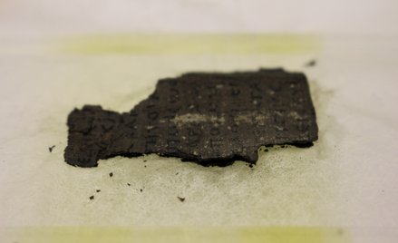 Fragment jednego ze zwęglonych zwojów z Herkulanum