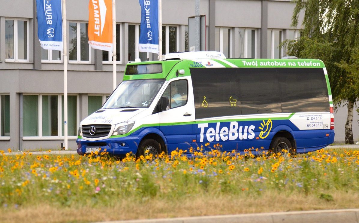 Больше городских автобусов по запросу? «Это очень нужное решение»