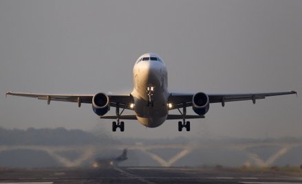 Nietypowe powody opóźnień lotów samolotów: skorpion, mysz i brak papieru toaletowego