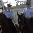 Warszawska policja konna