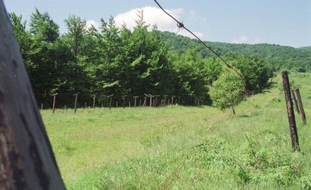 Zielona granica Polska-Ukraina