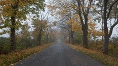 W najbliższych dniach spodziewać należy się mglistych poranków