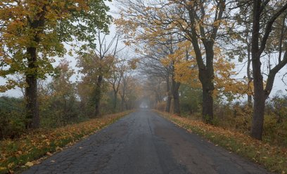 W najbliższych dniach spodziewać należy się mglistych poranków