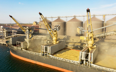 Polskie porty intensywnie pracują nad eksportem zboża z Ukrainy. Jednak ich zdolność przeładunkowa s