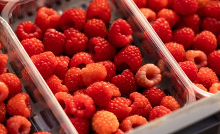 Zmowa cenowa na rynku malin? Minister Telus zawiadamia CBA
