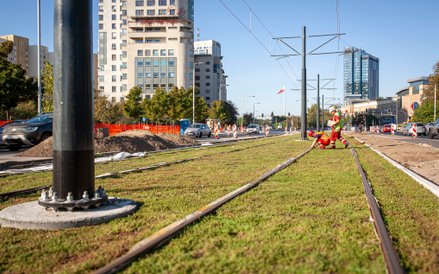 Pielegnacja międzytorza z rozchodnikiem, ostatnie poprawki