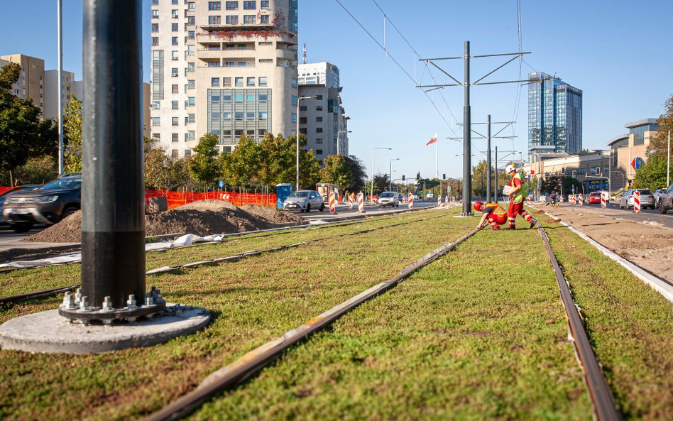 Pielegnacja międzytorza z rozchodnikiem, ostatnie poprawki