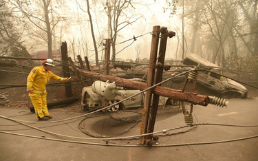 Kalifornia: Najtragiczniejszy pożar w historii - 42 ofiary