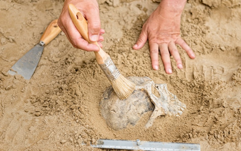 Najnowsze badania dowodzą, że południowa Afryka mogła odegrać kluczową rolę w ewolucji Homo sapiens 