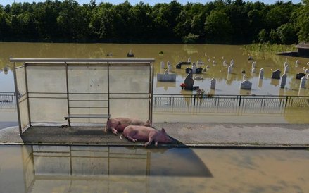 3. miejsce - Bartłomiej Jurecki, Tygodnik Podhalański