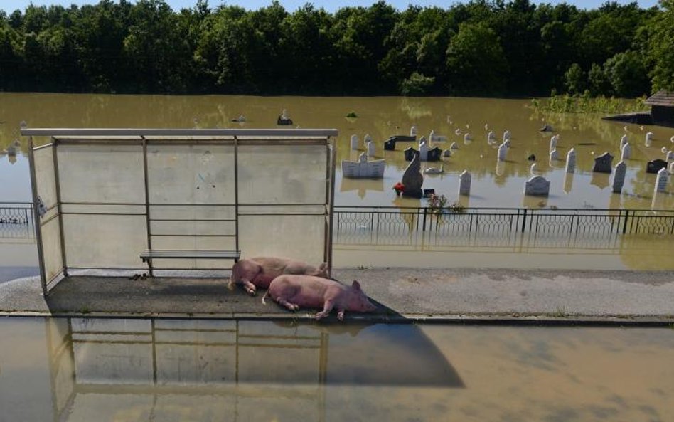 3. miejsce - Bartłomiej Jurecki, Tygodnik Podhalański