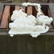 Pszczelarz otruł całą pasiekę. Zginęło pół miliona pszczół