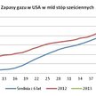 Ceny gazu w USA skazane na dalsze wzrosty