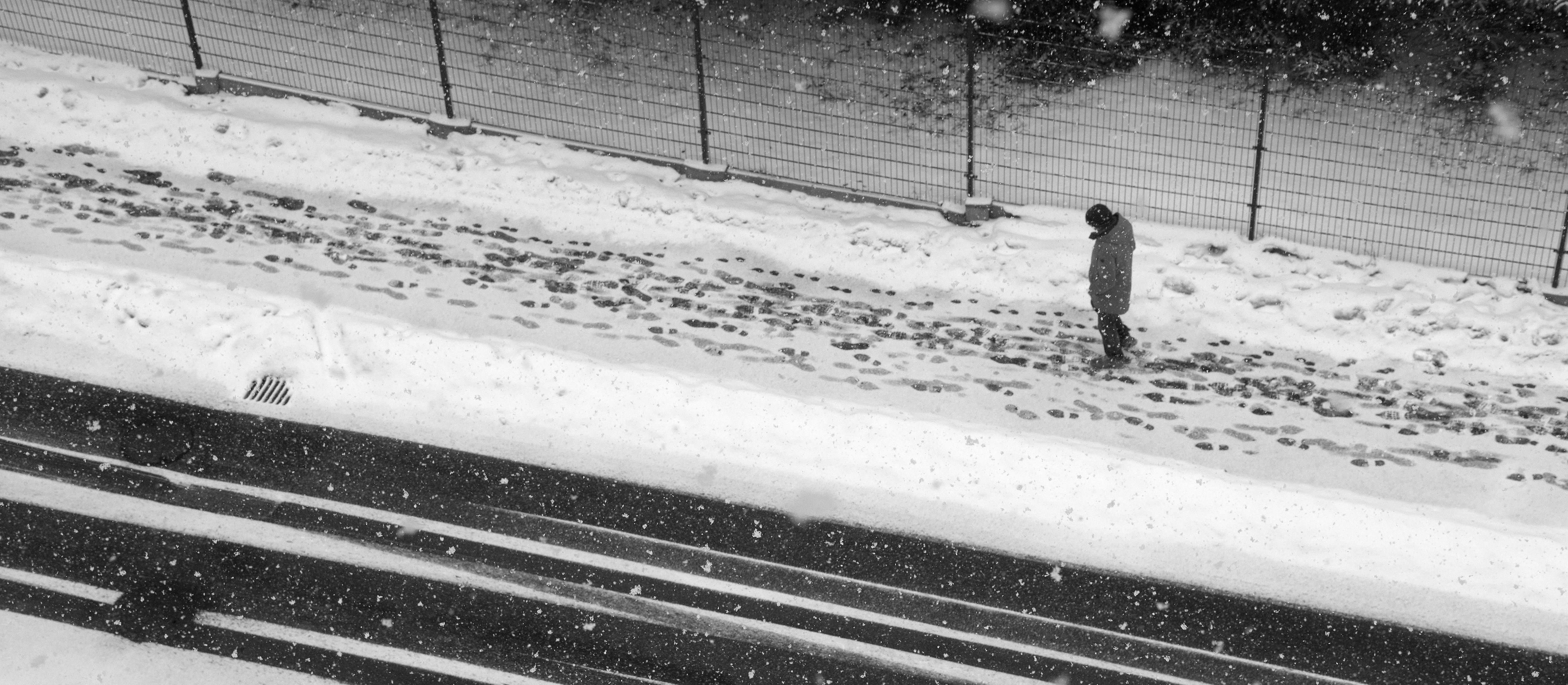 Utrzymanie dróg zimą. Jedni stawiają na sól, inni na ochronę zieleni