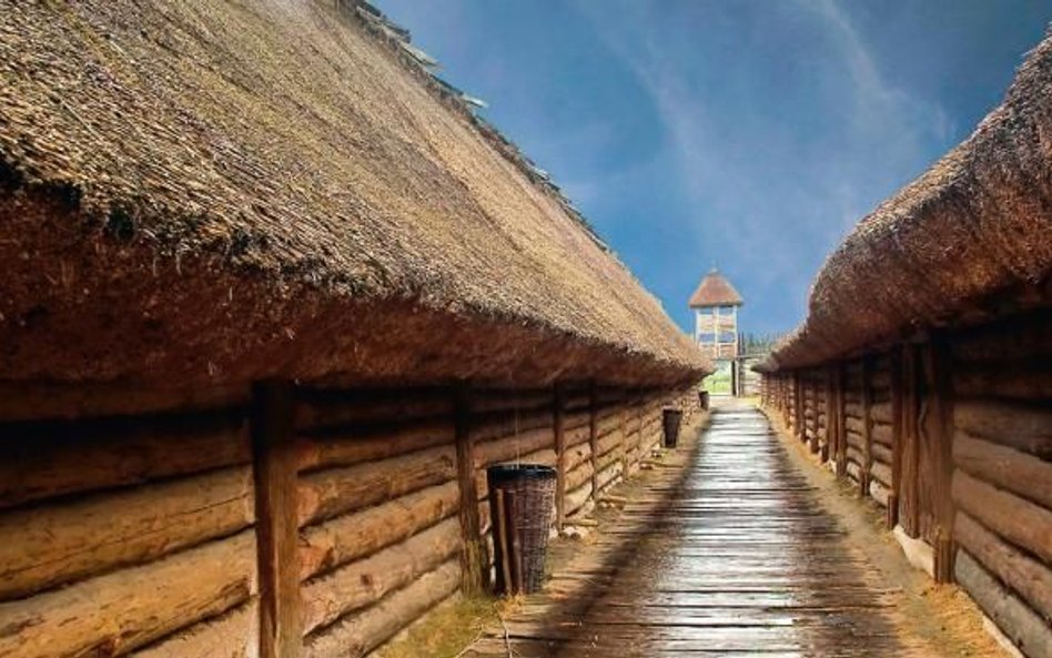 Skansen w Biskupinie to jedna z największych atrakcji Pałuk. W tym roku we wrześniu zaprasza na poka