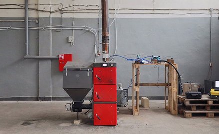 Ekogroszek nie taki eko. Naukowcy sprawdzili, jak nas truje