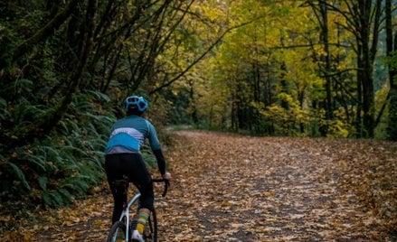 Eksperci z Niemiec byli w stanie precyzyjnie oszacować rzeczywisty wpływ drzew na ślad węglowy miast