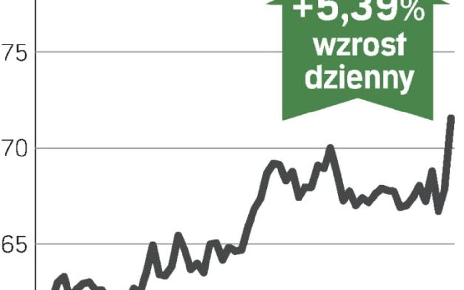 Rozwój mimo złych warunków