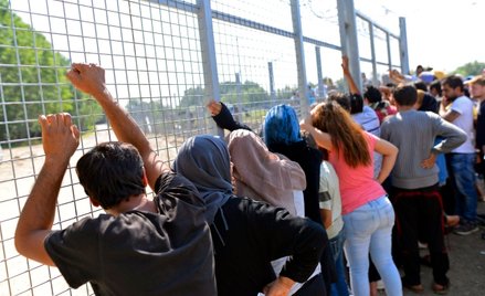 HFPC: Kontenery dla uchodźców to krok wstecz w ochronie praw cudzoziemców