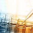 Biomed o krok bliżej leku na koronawirusa