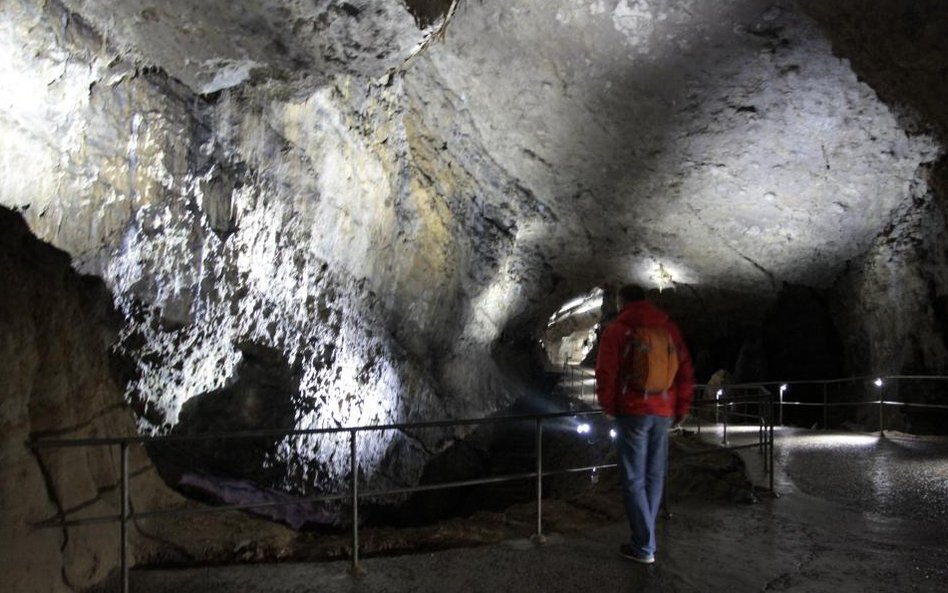 Jaskinie w Han-sur-Lesse w Belgii