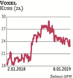 Voxel został wskazany przez Millennium DM i DM BDM. – Oferuje ciekawą ekspozycję na branżę ochrony z